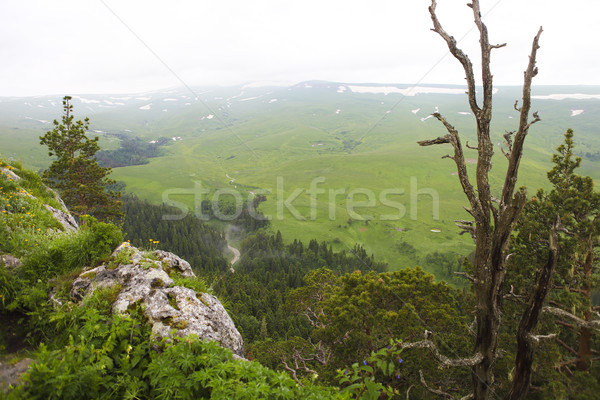 Tal Landschaft atemberaubende Russland Blume Stock foto © dashapetrenko