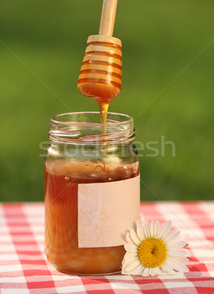 Borcan miere margaretă natură floare sticlă Imagine de stoc © dashapetrenko