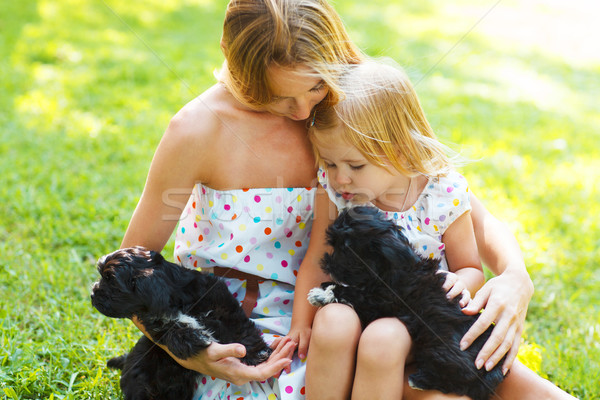 Stockfoto: Cute · meisje · moeder · hond · puppies