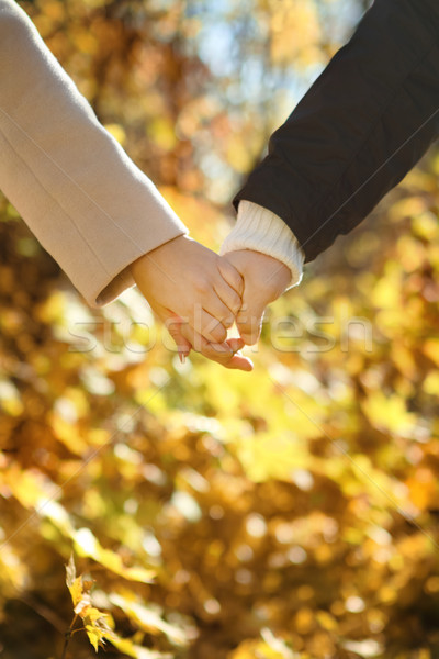 Young Couple Holding Hands In The Autumn Forest Stock Photo © Darya - 400x600 - jpeg Autumn Holding Hands