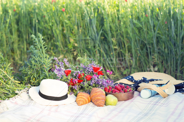 Basket, croissans, plaid and juice in a poppy field Stock photo © dashapetrenko