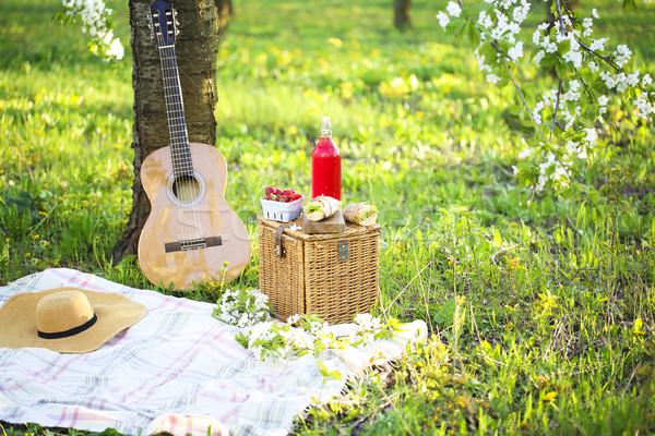 Guitar, basket, sandwiches, plaid and juice in a blossoming gard Stock photo © dashapetrenko