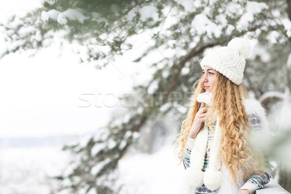 Cute young woman in wintertime outdoor Stock photo © dashapetrenko