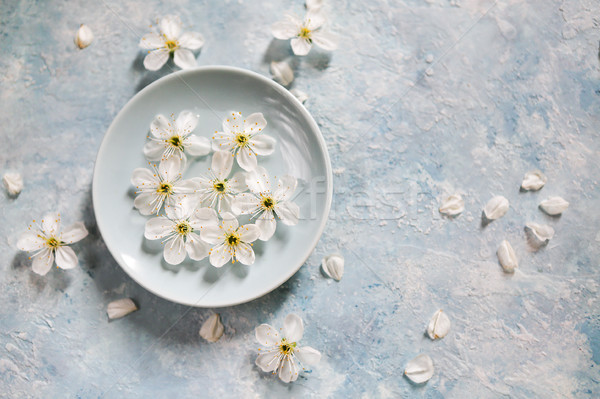 Beyaz mavi elma ağacı çiçekler çiçek bahar Stok fotoğraf © dashapetrenko