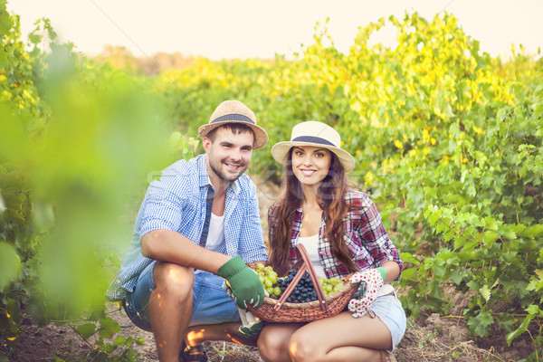 Young happy couple of wine growers  Stock photo © dashapetrenko