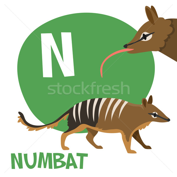 Funny cartoon animals vector alphabet letter set for kids. N is Numbat.  Stock photo © Dashikka
