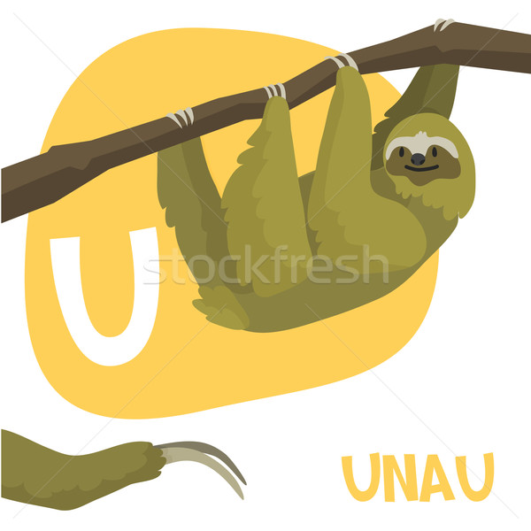 Funny cartoon animals vector alphabet letter set for kids. U is Unau vector  illustration © Dashikka (#6325802) | Stockfresh