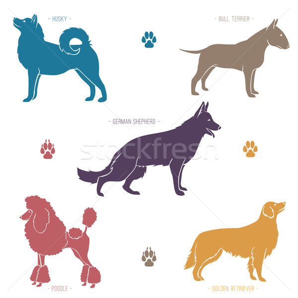 Set of different dog breeds silhouettes. Stock photo © Dashikka