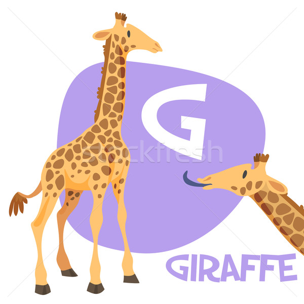 Funny cartoon animals vector alphabet letter set for kids . G is giraffe Stock photo © Dashikka