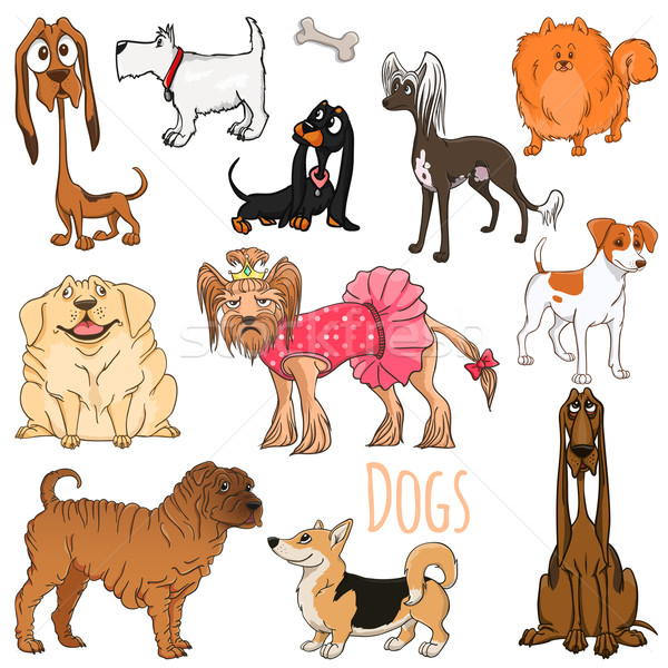 Vector set of funny cartoon dogs.Vector illustration Stock photo © Dashikka