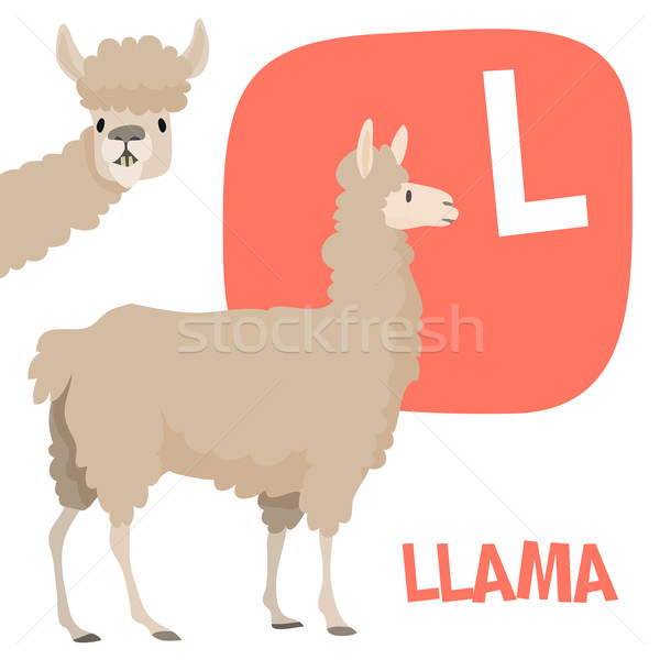 Funny cartoon animals vector alphabet letter set for kids. L is Llama   Stock photo © Dashikka