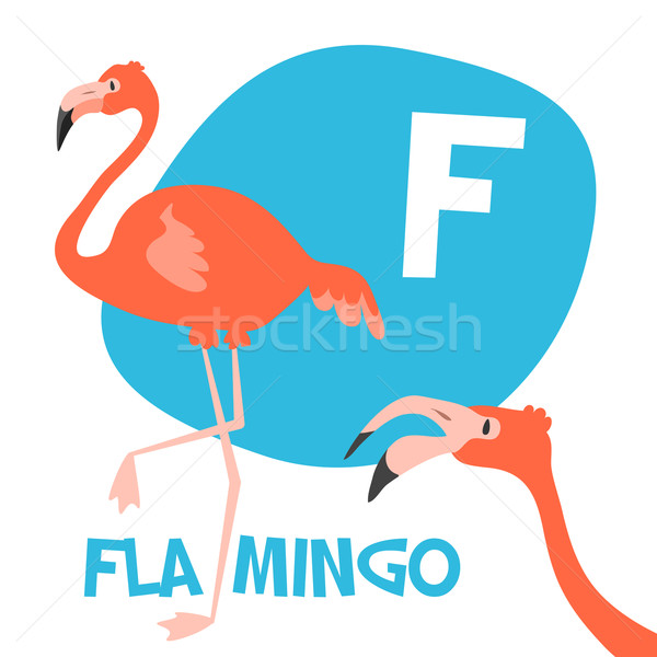 Funny cartoon animals vector alphabet letter set for kids. F is Flamingo   Stock photo © Dashikka