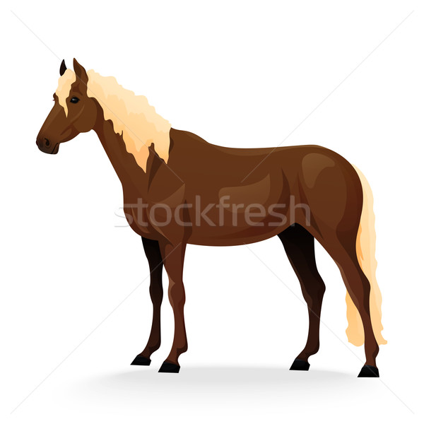 Realistic horse with red coat. Stock photo © Dashikka