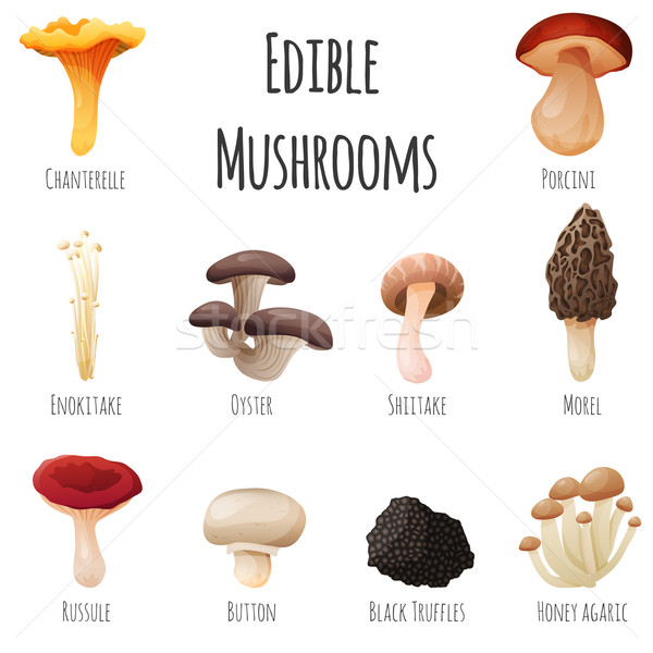 Edible mushroom  Stock photo © Dashikka
