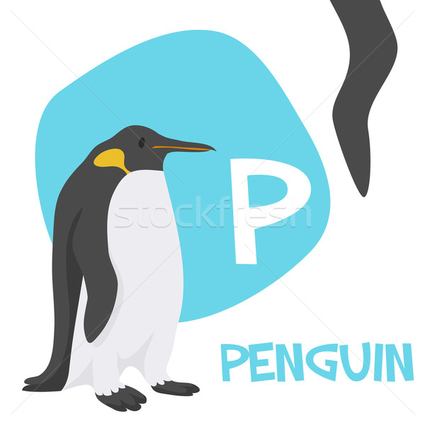 Funny cartoon animals vector alphabet letter set for kids. P is penguin   Stock photo © Dashikka