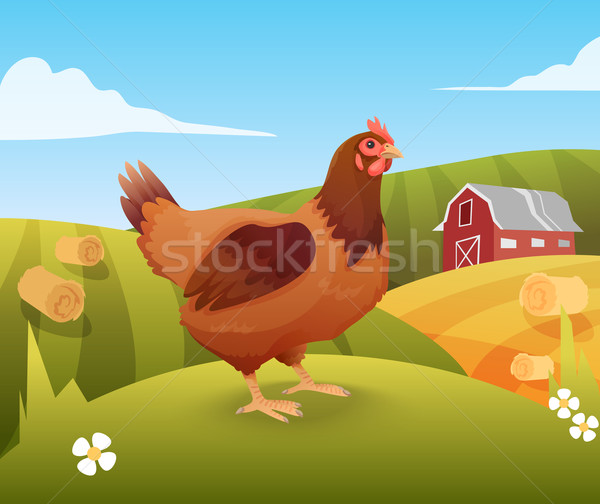 Hen standing on grass with farm on background Stock photo © Dashikka