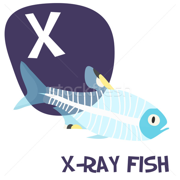 Funny cartoon animals vector alphabet letter set for kids. X is x-ray fish  Stock photo © Dashikka