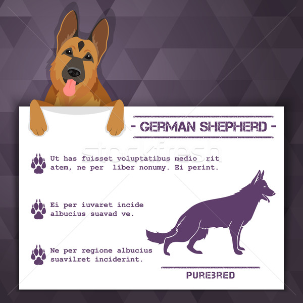 Stock photo: german shepherd dog banner