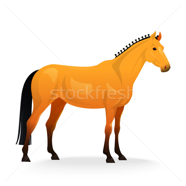 Realistic horse with red coat. Stock photo © Dashikka