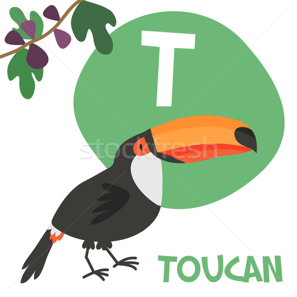 Funny cartoon animals vector alphabet letter set for kids. T is Toucan Stock photo © Dashikka