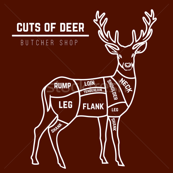 Stock photo: Deer meat cuts in color