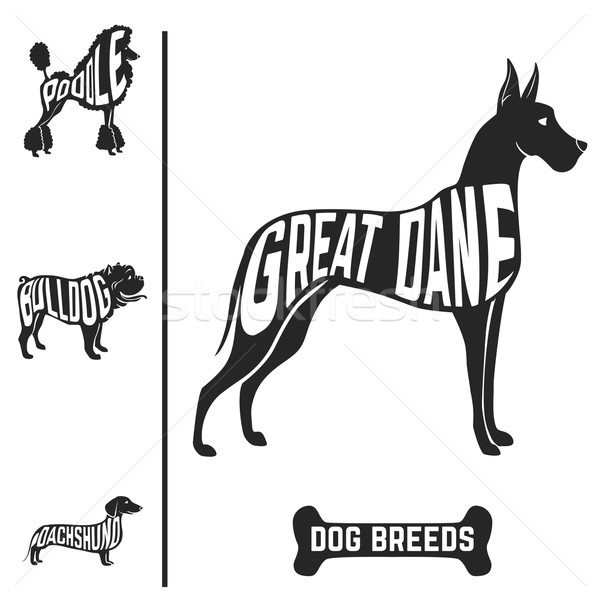 Stock photo: Isolated dog breed silhouettes set with names of breeds inside on white baclground. 