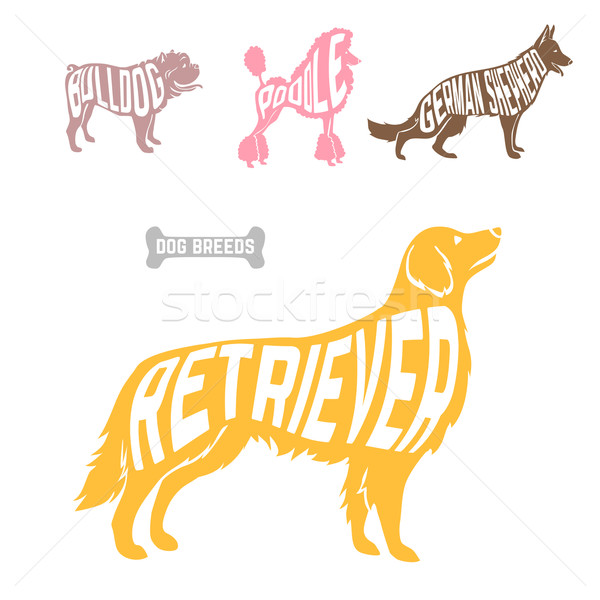 Isolated dog breed silhouettes set with names of breeds inside on white baclground.  Stock photo © Dashikka