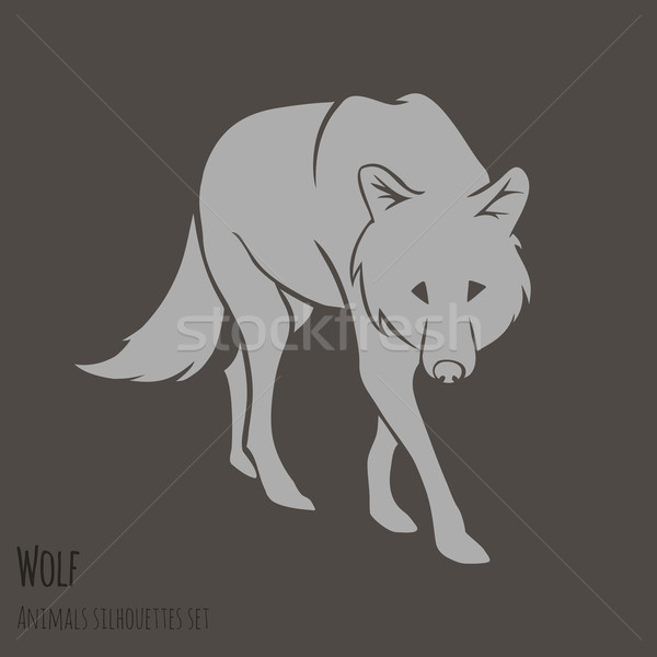 Grey Wolf Silhouette  Stock photo © Dashikka