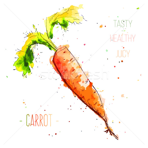 Watercolor orange carrot with splashes in free style. Fresh and juicy colors. Hand drawn isolated on Stock photo © Dashikka
