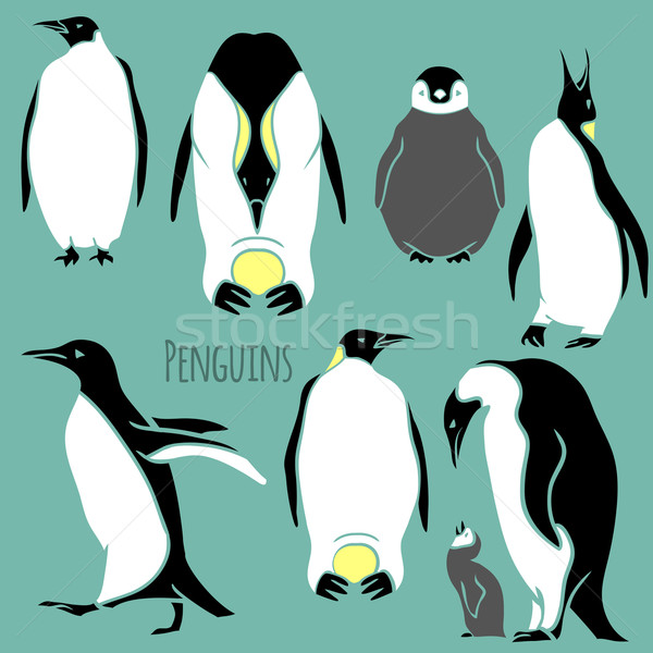 Feketefehér pingvin szett skicc sziluett terv Stock fotó © Dashikka