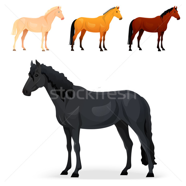 Set realistisch Pferd unterschiedlich Sport Kunst Stock foto © Dashikka