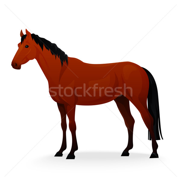 Realistic horse with red coat. Stock photo © Dashikka