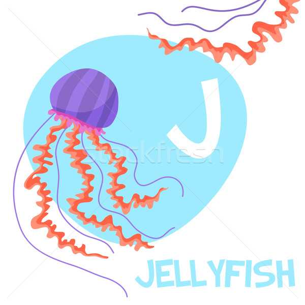 Funny cartoon animals vector alphabet letter set for kids. J is Jellyfish   Stock photo © Dashikka