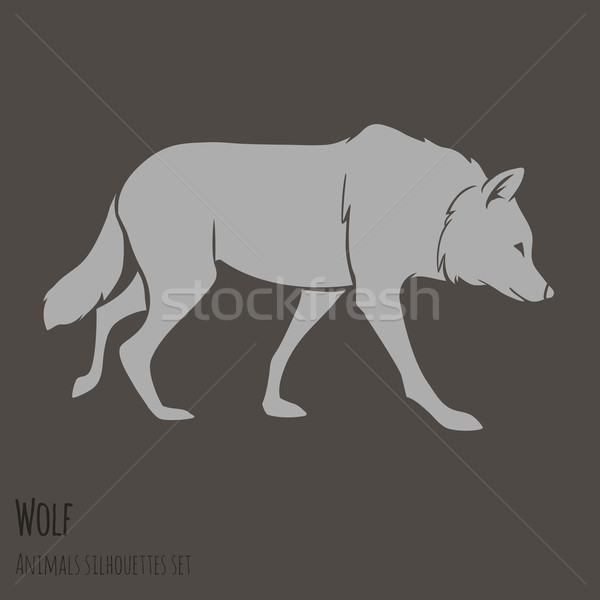 Grey Wolf Silhouette  Stock photo © Dashikka
