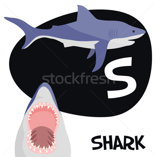 Funny cartoon animals vector alphabet letter set for kids. S is Shark. Stock photo © Dashikka