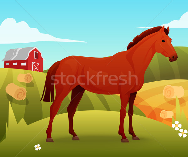 Concept of horse on farm background Stock photo © Dashikka