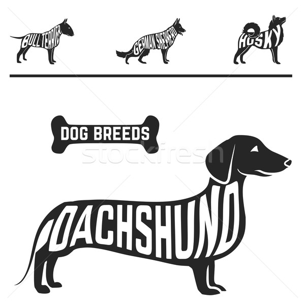 Isolated dog breed silhouettes set with names of breeds inside on white baclground.  Stock photo © Dashikka