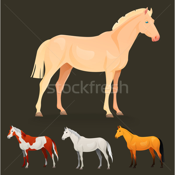 Set of realistic horse with different coats. Stock photo © Dashikka