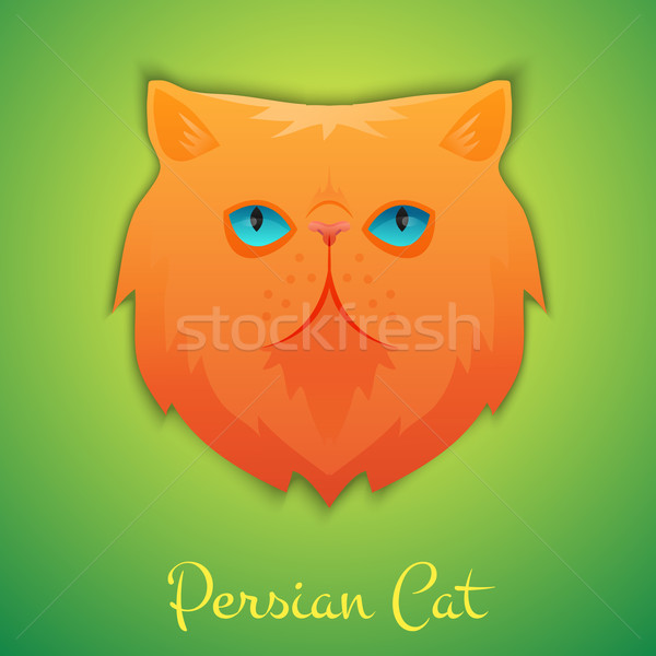 Gatto persiano faccia isolato ombra cat design Foto d'archivio © Dashikka