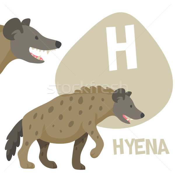 Funny cartoon animals vector alphabet letter set for kids. H is Hyena   Stock photo © Dashikka