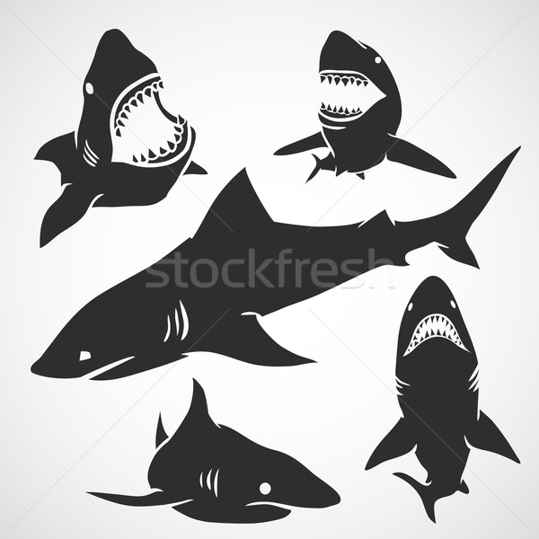 Set of Sharks  Stock photo © Dashikka