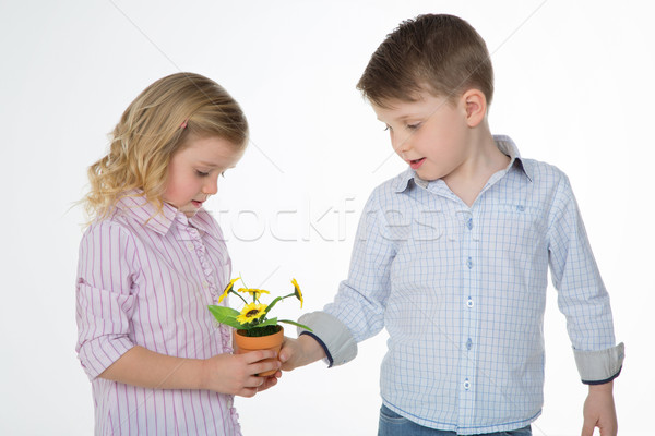 Stock photo: girl looks at her present