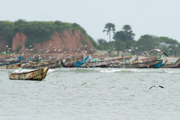 Flying красочный африканских рыбалки флот Сток-фото © davemontreuil