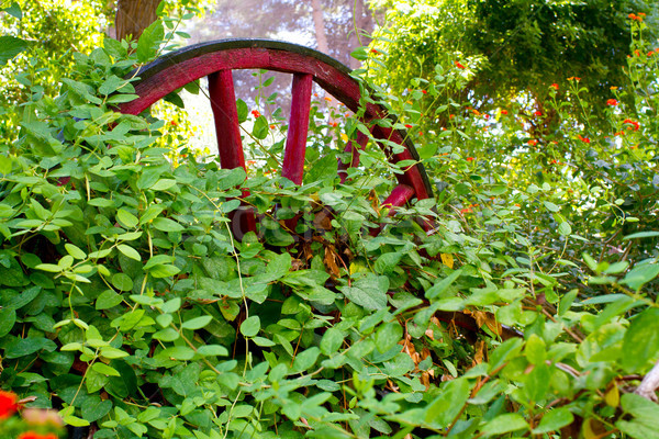 Overgrown wagon wheel Stock photo © david010167