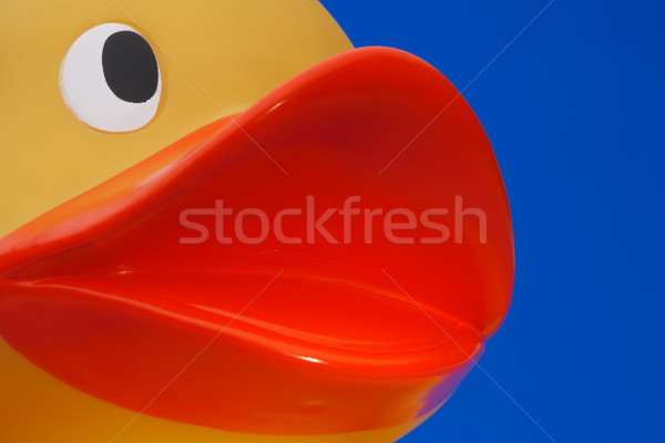 Stock photo: Closup of rubber duck