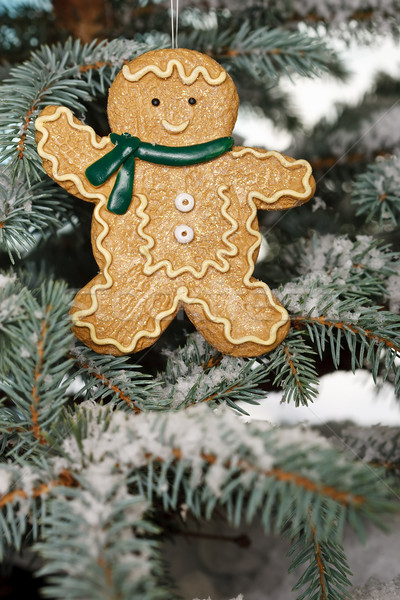 Christmas ginger bread boy on tree Stock photo © david010167