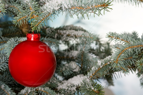 Luminos roşu Crăciun fleac copac zăpadă Imagine de stoc © david010167