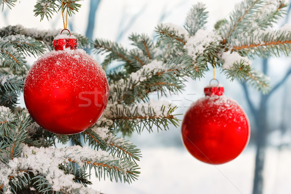 Piros karácsony jelenet üveg hó háttér Stock fotó © david010167