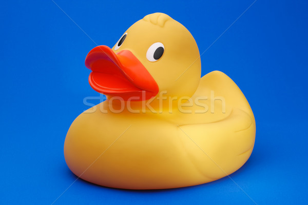 Yellow rubber duck on blue background Stock photo © david010167