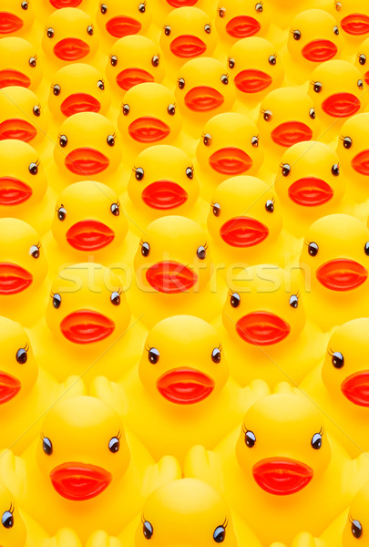 Gummi Ente Armee Hintergrund Spaß Spielzeug Stock foto © david010167